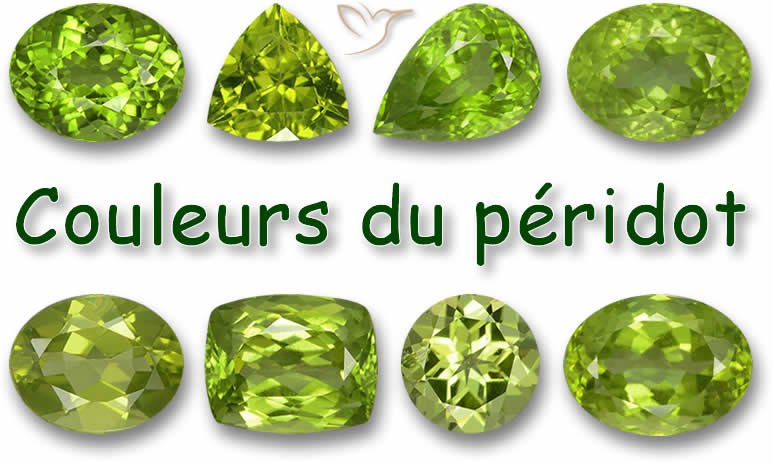 Couleurs du péridot