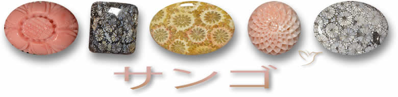 サンゴの宝石