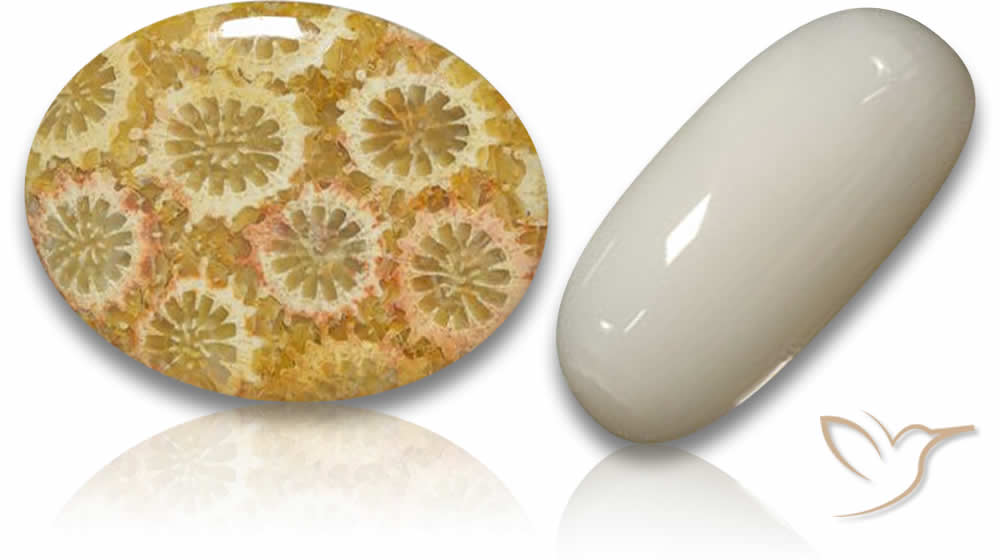 Natural Coral Gemstones