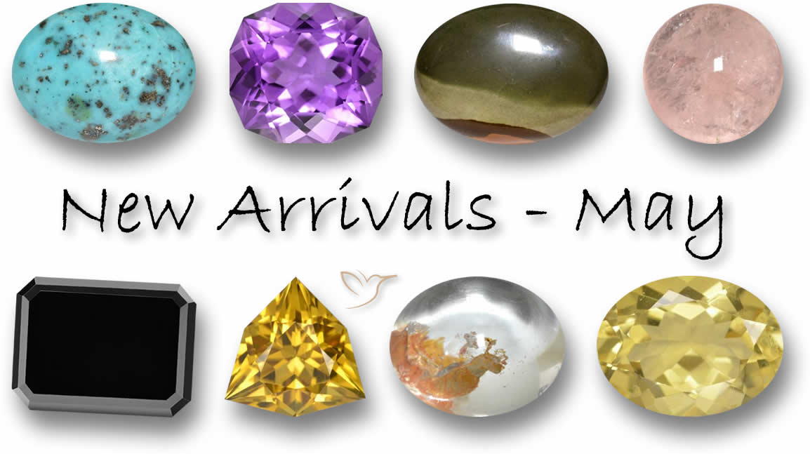 New Arrivals