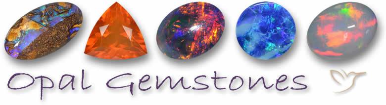 Shop Opal
