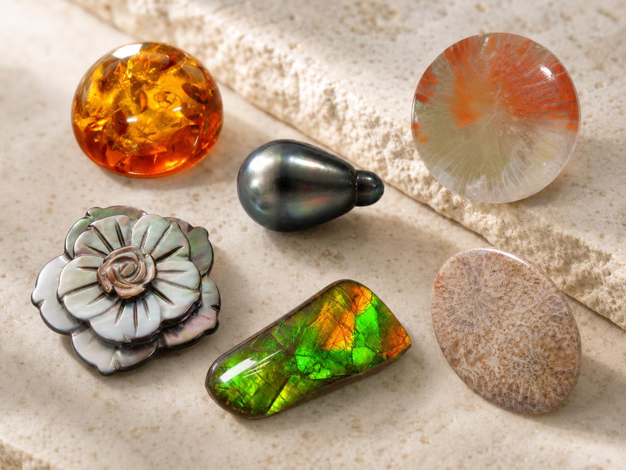 Assortment of organic gemstones including pearl, amber, coral and shell