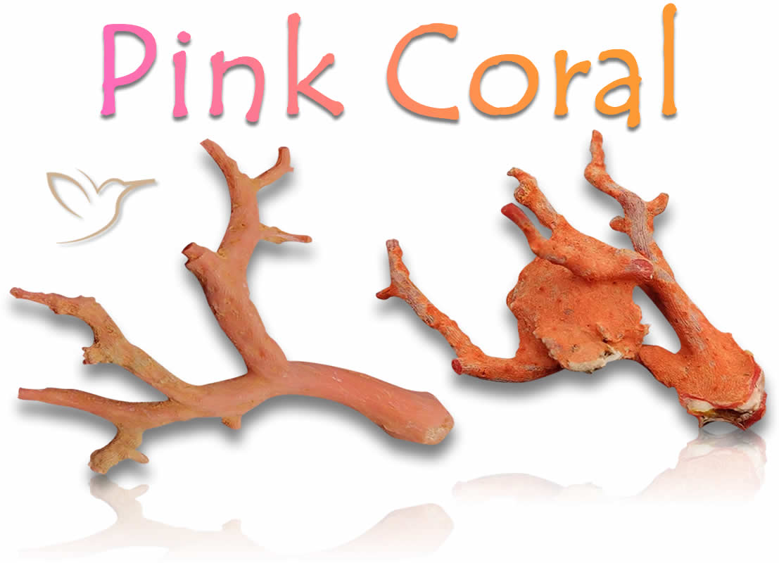 Pink Coral Rough Stones