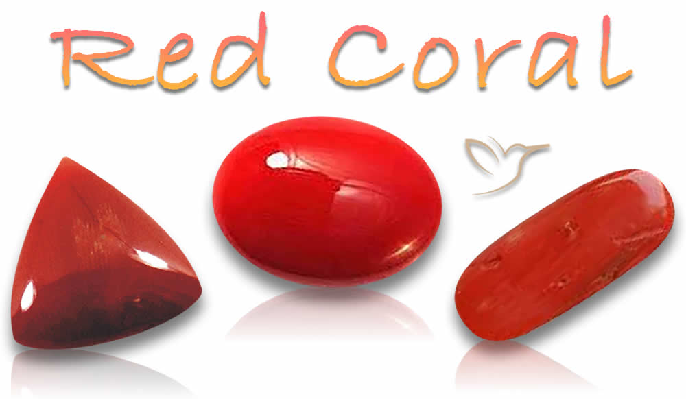 Buy Red Coral Gemstones