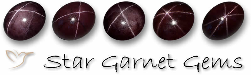 Star Garnet Gemstones