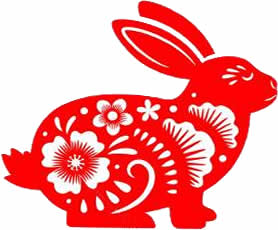 The year of the Rabbit