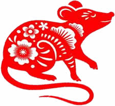 The year of the Rat