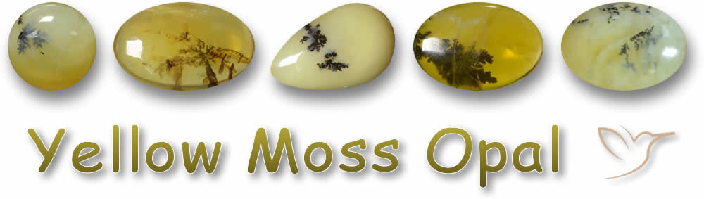 Buy Yellow Moss Opal Gemstones