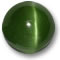 Shop Cat's Eye Augite Gemstones