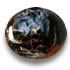 Shop Pietersite Gemstones
