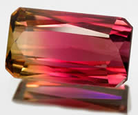 Bi-Color Tourmaline