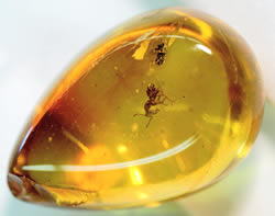 Resultado de imagen para organic gemstones