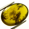 Buy moss opal at GemSelect