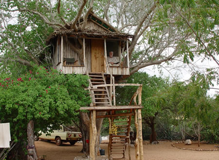 Nuova casa sull'albero