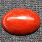 Cabochon aus roter Koralle