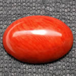 Roter Korallen-Cabochon