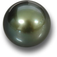 Natural Fresh Water Pearl