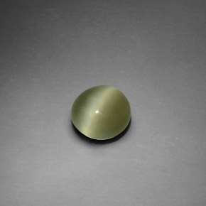 1.33 ct Green Actinolite Cat's Eye Gemstone, Actinolite Cat's Eye Gem in Round Cabochon Shape for Sale.