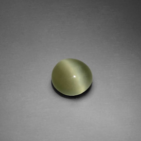 1.33 ct Green Actinolite Cat's Eye Stone, Natural Actinolite Cat's Eye in Round Cabochon Shape for Sale