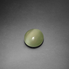 1.10 ct Green Actinolite Cat's Eye Gemstone, Actinolite Cat's Eye Gem in Round Cabochon Shape for Sale.