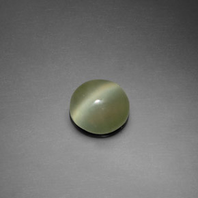 1.39 ct Green Actinolite Cat's Eye Stone, Natural Actinolite Cat's Eye in Round Cabochon Shape for Sale