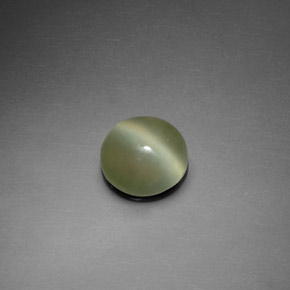 Actinolite Cat's Eye Gemstone in 7.5 mm Size for Sale, Actinolite Cat's Eye Stone in Green Color