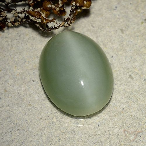 14.3 x 11.1mm Oval Green Actinolite Cat's Eye from United States, Weight of 6.14ct, Natural untreated Gemstone in Translucent Clarity, 1pc Oval Cabochon Actinolite Cat's Eye - Color: Earthy Green, Mohs Hardness of 5.5 - 6, Photo A