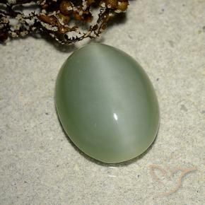 Actinolite Cat's Eye Gemstone in 14.3 x 11.1 mm Size for Sale, Actinolite Cat's Eye Stone in Earthy Green Color