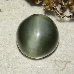7.39 ct Green Actinolite Cat's Eye Stone, Natural Actinolite Cat's Eye in Round Cabochon Shape for Sale