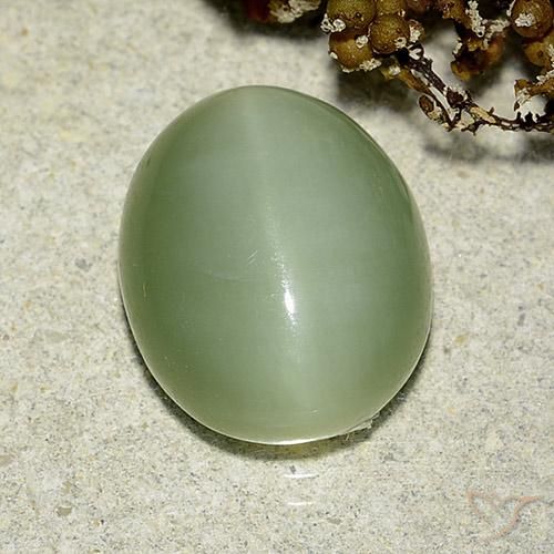 6.24 ct Green Actinolite Cat's Eye Stone, Natural Actinolite Cat's Eye in Oval Cabochon Shape for Sale