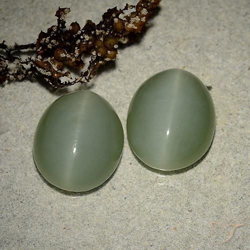 Actinolite Cat's Eye Gemstones in 13 x 11 mm (calibrated) Size for Sale, Actinolite Cat's Eye Stones in Medium-Light Green Color