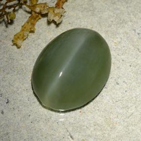 7.61 ct Green Actinolite Cat's Eye Stone, Natural Actinolite Cat's Eye in Oval Cabochon Shape for Sale