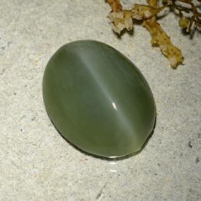 Actinolite Cat's Eye Gemstone in 14.9 x 11.6 mm Size for Sale, Actinolite Cat's Eye Stone in Green Color