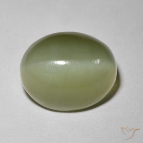 Ojo de Gato Actinolita Verde Ovalada de 12,8 x 10,1mm de Estados Unidos, peso de 5.8 ct, piedra preciosa natural No tratado en Translúcido Clarity, Ojo de Gato Actinolita Cabujón Óvalo de 1 pieza - Color: Verde terroso, dureza Mohs de 5.5 - 6, Photo A