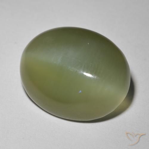 Actinolite œil de chat Vert oval cabochon 15,9 x 12,6mm des Etats-Unis, poids de 8,12 ct, pierre gemme naturelle Non traité de pureté Translucide, 1 pièce Actinolite œil de chat, couleur : Vert foncé, dureté de Mohs de 5.5 à 6, Photo A