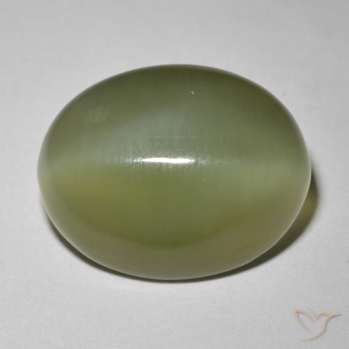 8.12 ct Green Actinolite Cat's Eye Stone, Natural Actinolite Cat's Eye in Oval Cabochon Shape for Sale