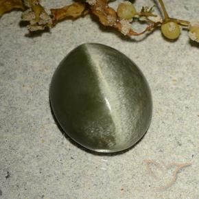 4.60 ct Green Actinolite Cat's Eye Stone, Natural Actinolite Cat's Eye in Oval Cabochon Shape for Sale