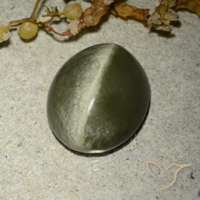 Actinolite Cat's Eye Gemstone in 12 x 10 mm (calibrated) Size for Sale, Actinolite Cat's Eye Stone in Brownish Green Color