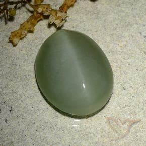 6.77 ct Green Actinolite Cat's Eye Stone, Natural Actinolite Cat's Eye in Oval Cabochon Shape for Sale