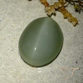 Actinolite Cat's Eye Gemstone in 14.6 x 11.7 mm Size for Sale, Actinolite Cat's Eye Stone in Medium-Light Green Color
