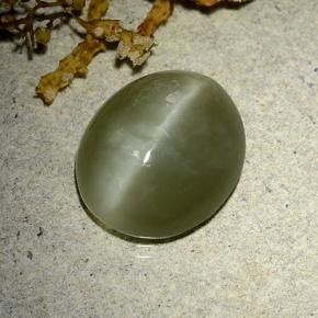 7.84 ct Green Actinolite Cat's Eye Stone, Natural Actinolite Cat's Eye in Oval Cabochon Shape for Sale