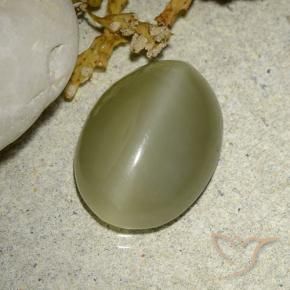 5.88 ct Green Actinolite Cat's Eye Stone, Natural Actinolite Cat's Eye in Oval Cabochon Shape for Sale