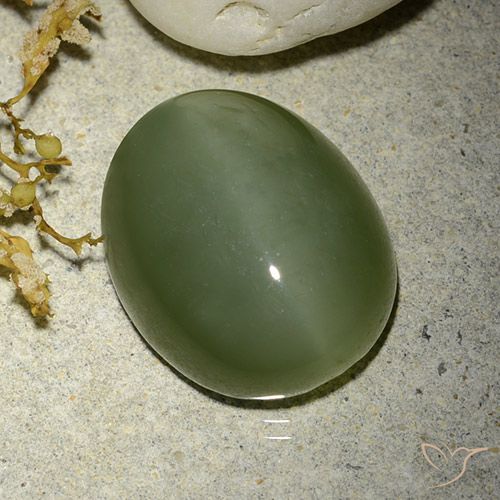 16.5 x 13.5mm Oval Green Actinolite Cat's Eye from United States, Weight of 12.38ct, Natural untreated Gemstone in Translucent Clarity, 1pc Oval Cabochon Actinolite Cat's Eye - Color: Army Green, Mohs Hardness of 5.5 - 6, Photo A