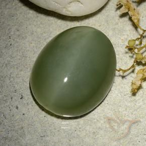 12.38 ct Green Actinolite Cat's Eye Stone, Natural Actinolite Cat's Eye in Oval Cabochon Shape for Sale