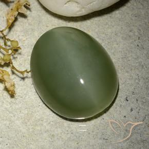 Actinolite Cat's Eye Gemstone in 16.5 x 13.5 mm Size for Sale, Actinolite Cat's Eye Stone in Army Green Color