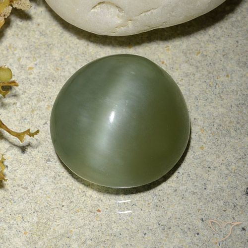 Actinolite œil de chat Vert round cabochon 5,56 ct des Etats-Unis, dimension 11mm, pierre gemme naturelle Non traité, pureté Translucide, 1 pièce Actinolite œil de chat de couleur Vert chaud, dureté Mohs de 5.5 à 6, Photo A