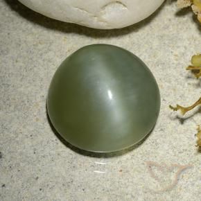 5.56 ct Green Actinolite Cat's Eye Stone, Natural Actinolite Cat's Eye in Round Cabochon Shape for Sale