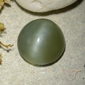 Actinolite Cat's Eye Gemstone in 11 mm (calibrated) Size for Sale, Actinolite Cat's Eye Stone in Warm Green Color