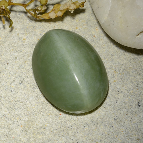 Light Moss Green Актинолит Кошачий Глаз Камень - 5ct Овал Кабошон (ID: 485811)