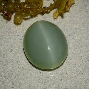 6.19 ct Green Actinolite Cat's Eye Stone, Natural Actinolite Cat's Eye in Oval Cabochon Shape for Sale